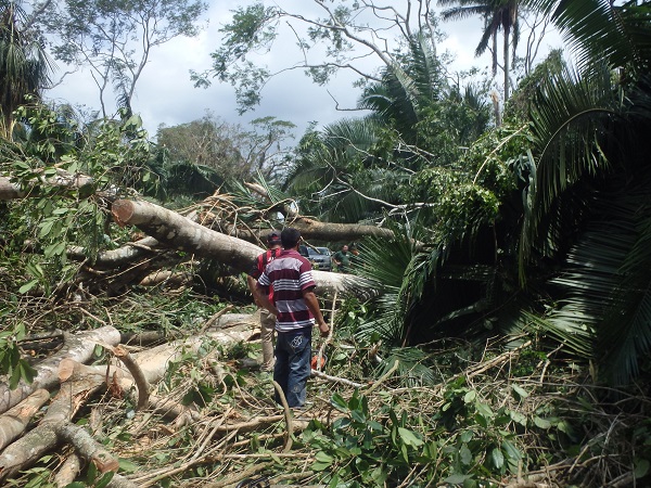 Belize Hurricane Damage World Land Trust