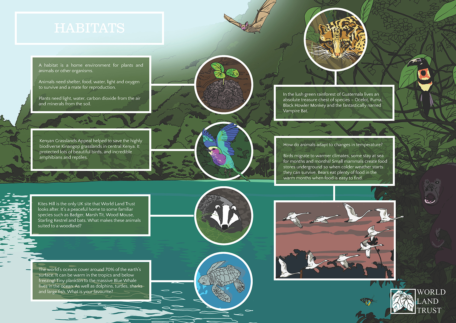 What does a habitat provide? - World Land Trust