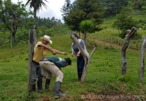 Rs Recorrido Por La Reserva Biologica Volcan Pacayita Con Un Estudiante De Biologia De La Unah Y Un Ganadero Afectado Por Los Ataques De Puma C Angie Rodriguez Scr World Land Trust