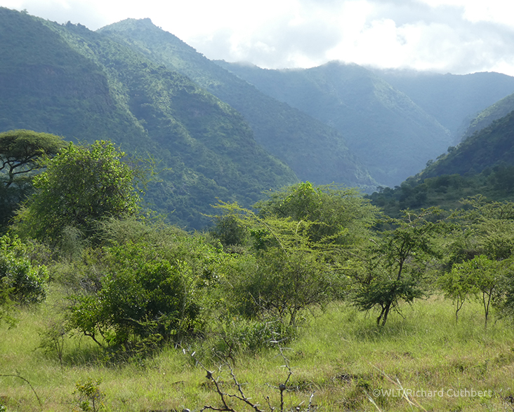 _Mt.-Moroto- World Land Trust