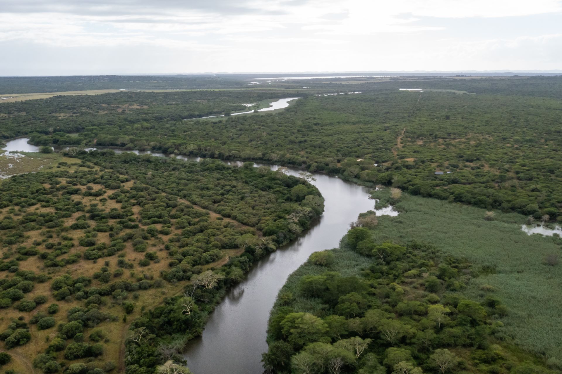 A Living Tapestry: The Habitats of Ukuwela